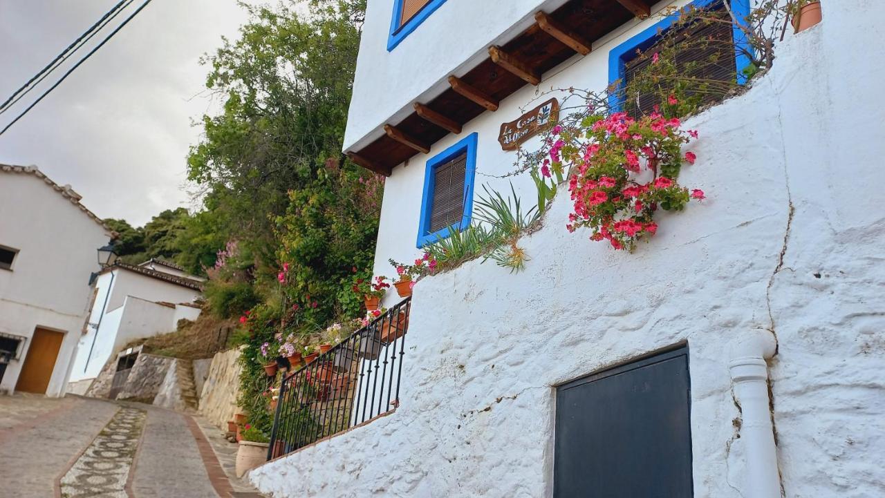 Casa El Olivo By Casaturistica Villa Benalauria Exterior photo