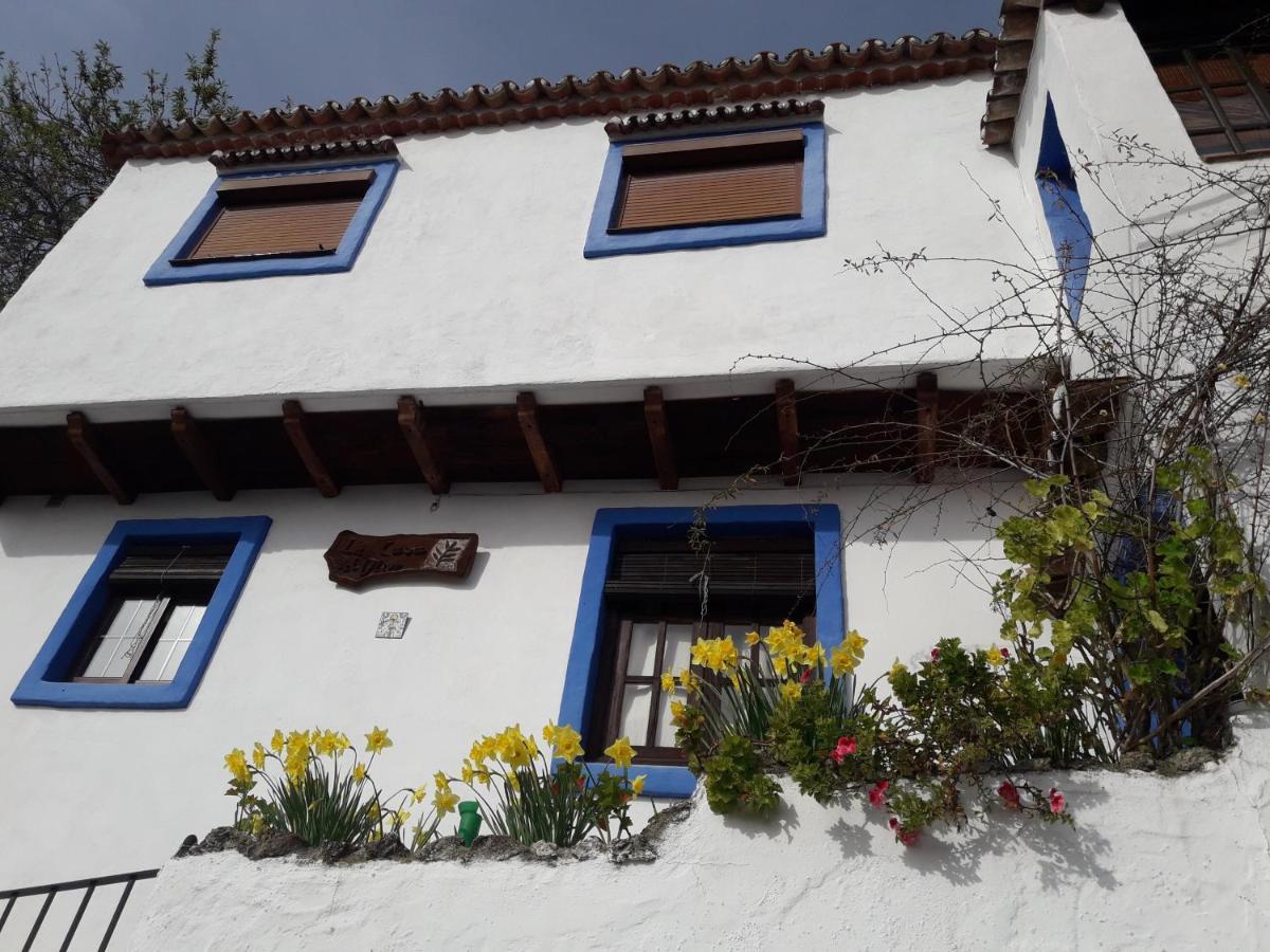 Casa El Olivo By Casaturistica Villa Benalauria Exterior photo